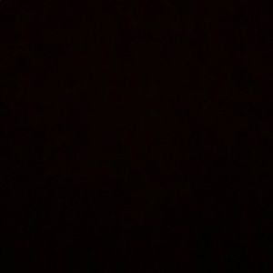 Meet your Posher, Sal